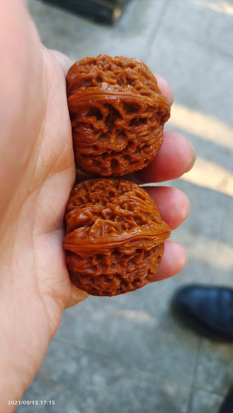ko哥将近一年的红宝石#文玩手串 #大话文玩 #潘淘荟